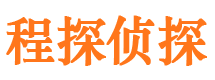 武进侦探公司